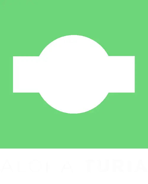LOGOdiapo completo aloha turia copy