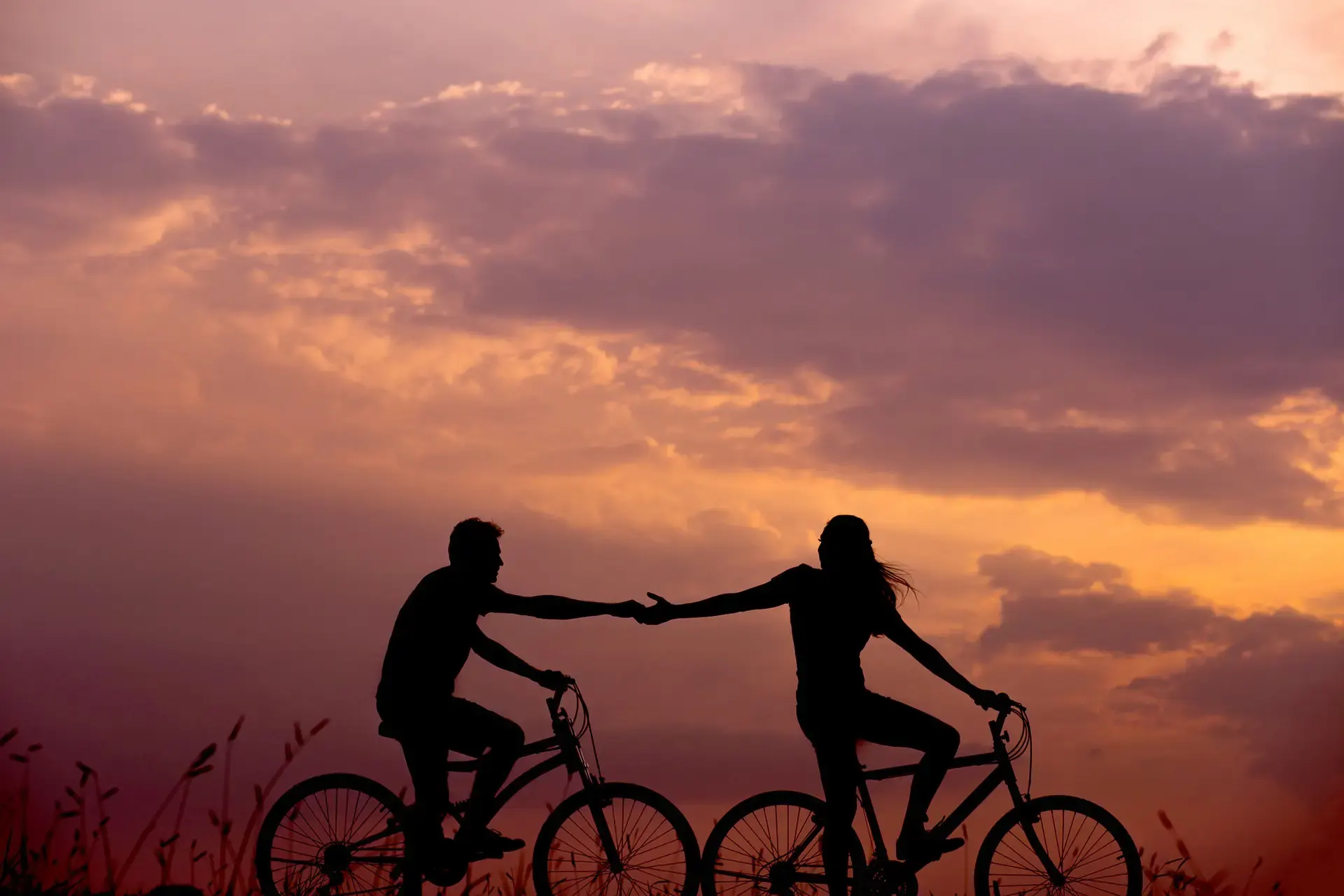 paseos bici.webp